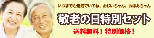 干物海産物通販かすみ屋敬老の日特別セット送料込!バナー