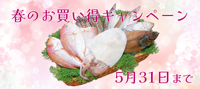 春キャンペーン