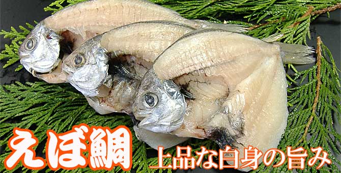 えぼ鯛 一癖ある魚は干物にすると旨くなる 干物海産物通販かすみ屋