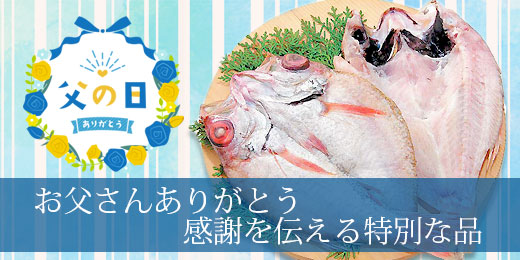 父の日の贈り物干物