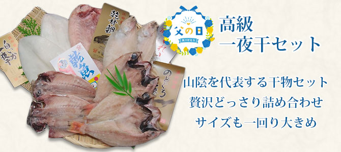 父の日高級一夜干セット