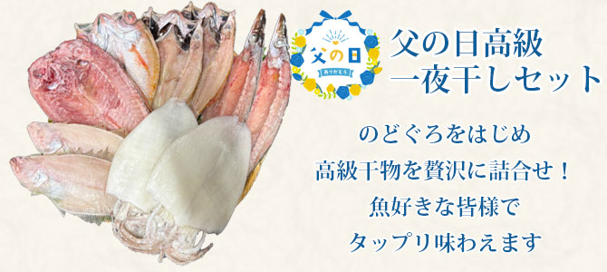 父の日高級干物セット