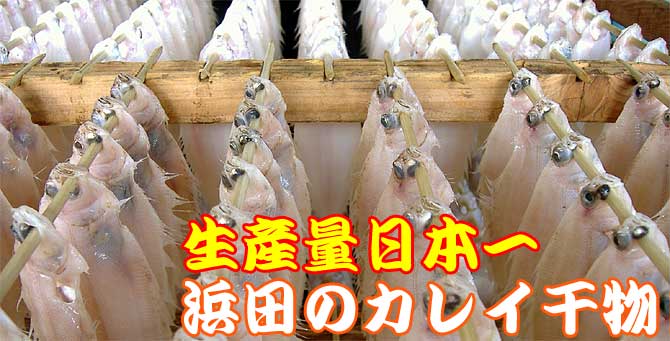 塩干しカレイ生産量日本一！ 浜田の干しかれい