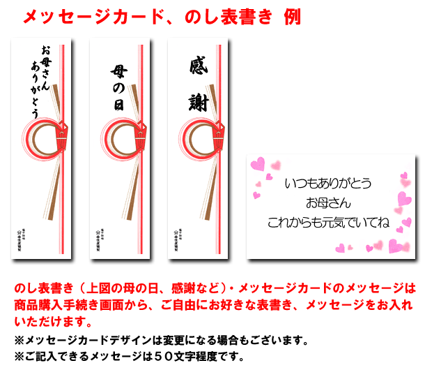 母の日限定 送料無料特別セット 干物造り80年 伝統の技で仕上げた一夜干し 干物海産物通販かすみ屋 母の日限定 送料無料特別セット 干物造り80年 伝統の技で仕上げた一夜干し 干物海産物通販かすみ屋