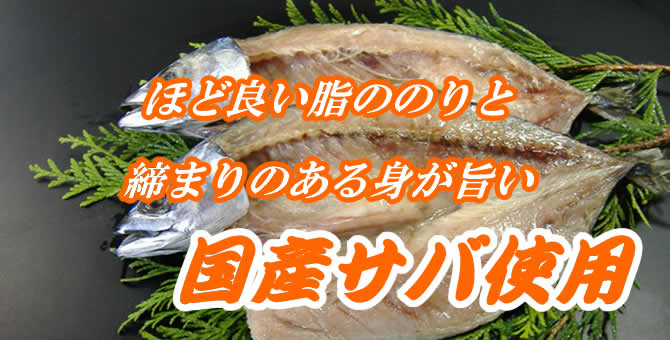 ほど良い脂ののり　国産サバ