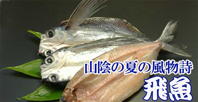285円 驚きの価格が実現 とび魚 飛魚 とびうお トビウオ あご アゴ 豊洲市場